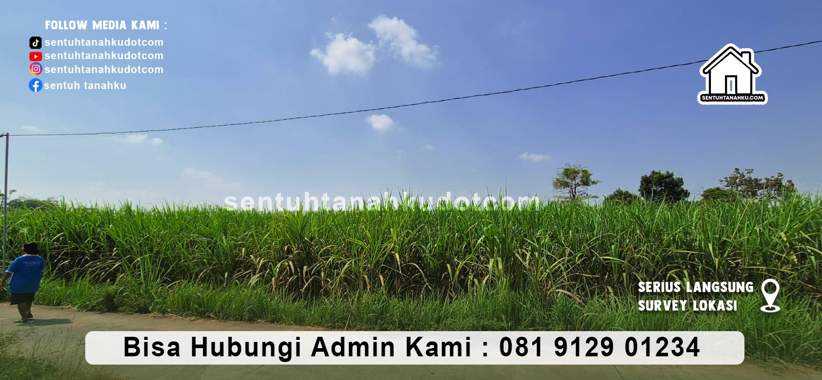 TANAH