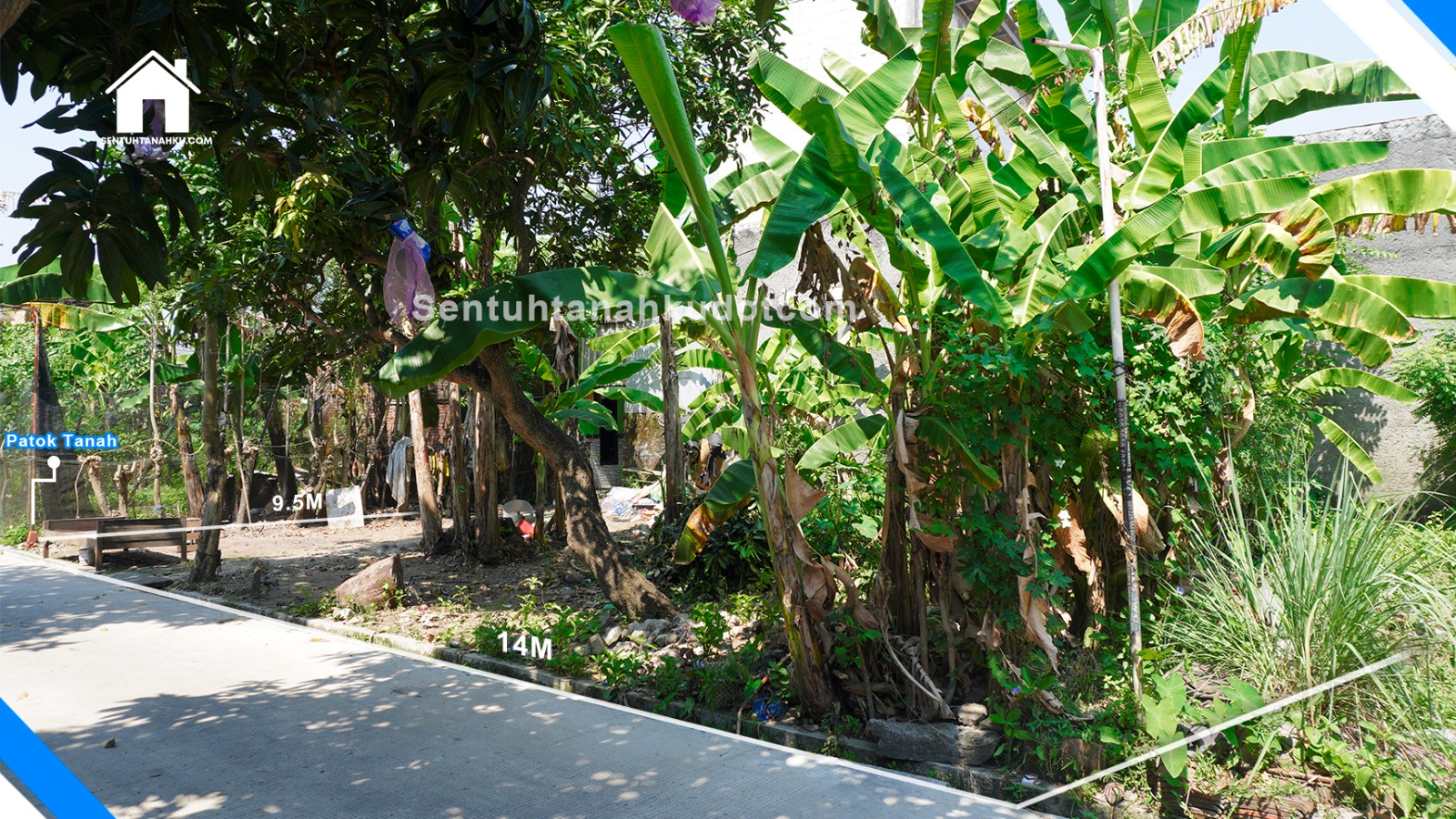 TANAH
