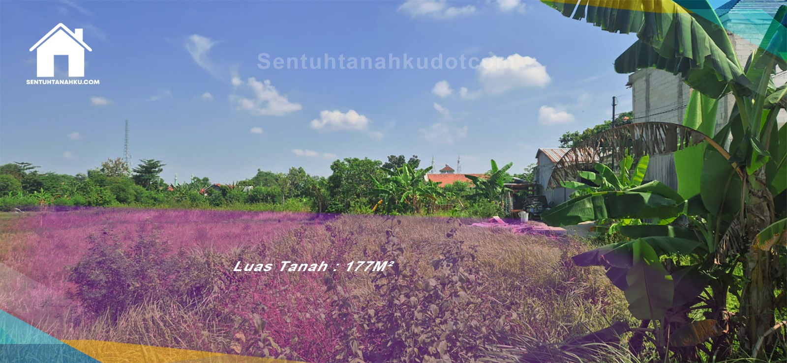 TANAH