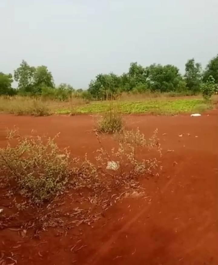 Lahan Zona Industri