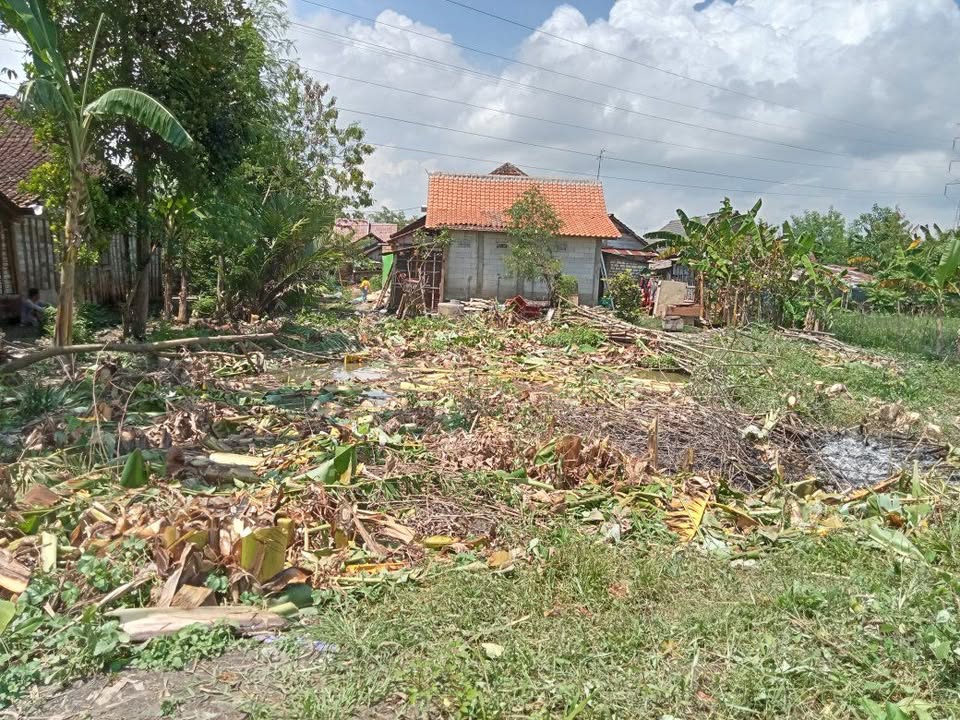 Tanah Pekarangan