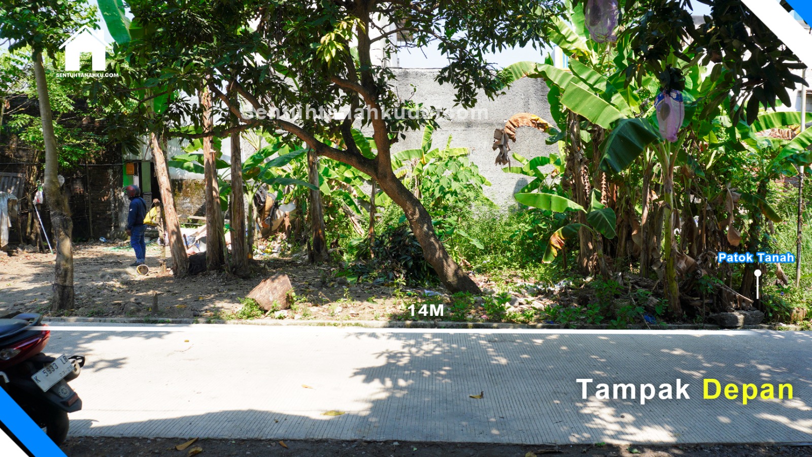 TANAH
