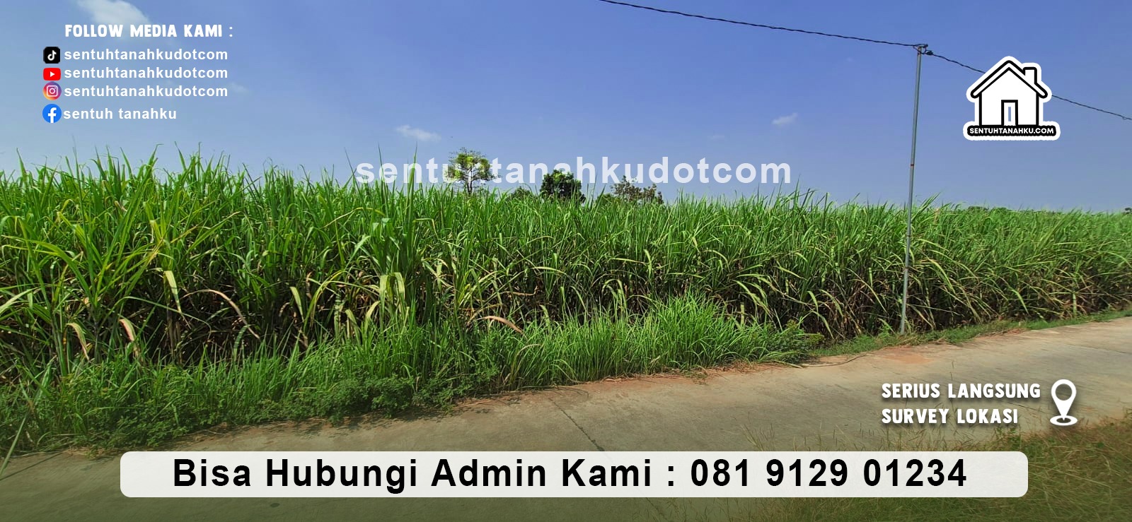 TANAH