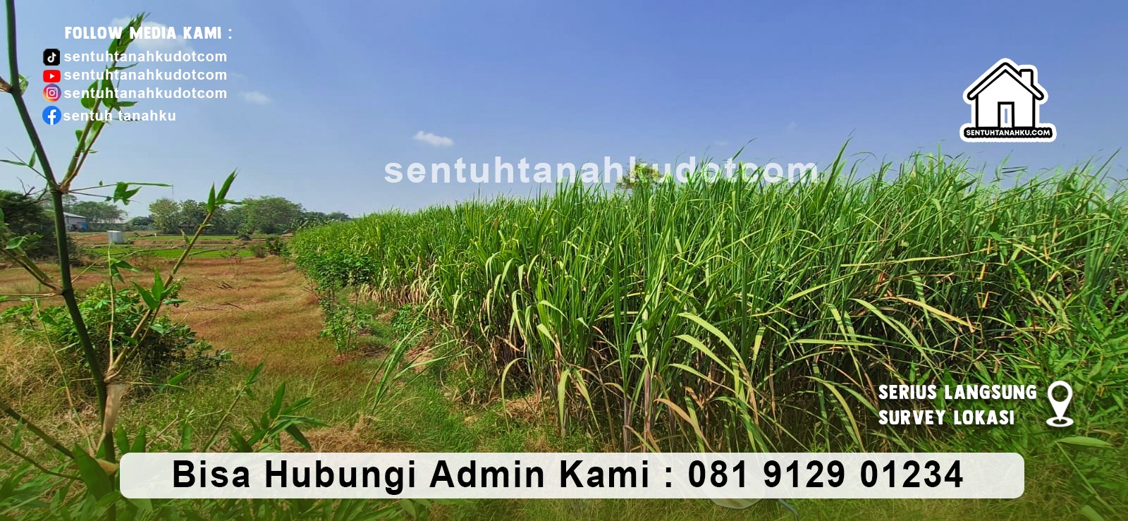 TANAH
