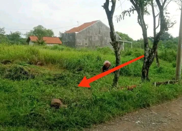 Tanah Siap Bangun