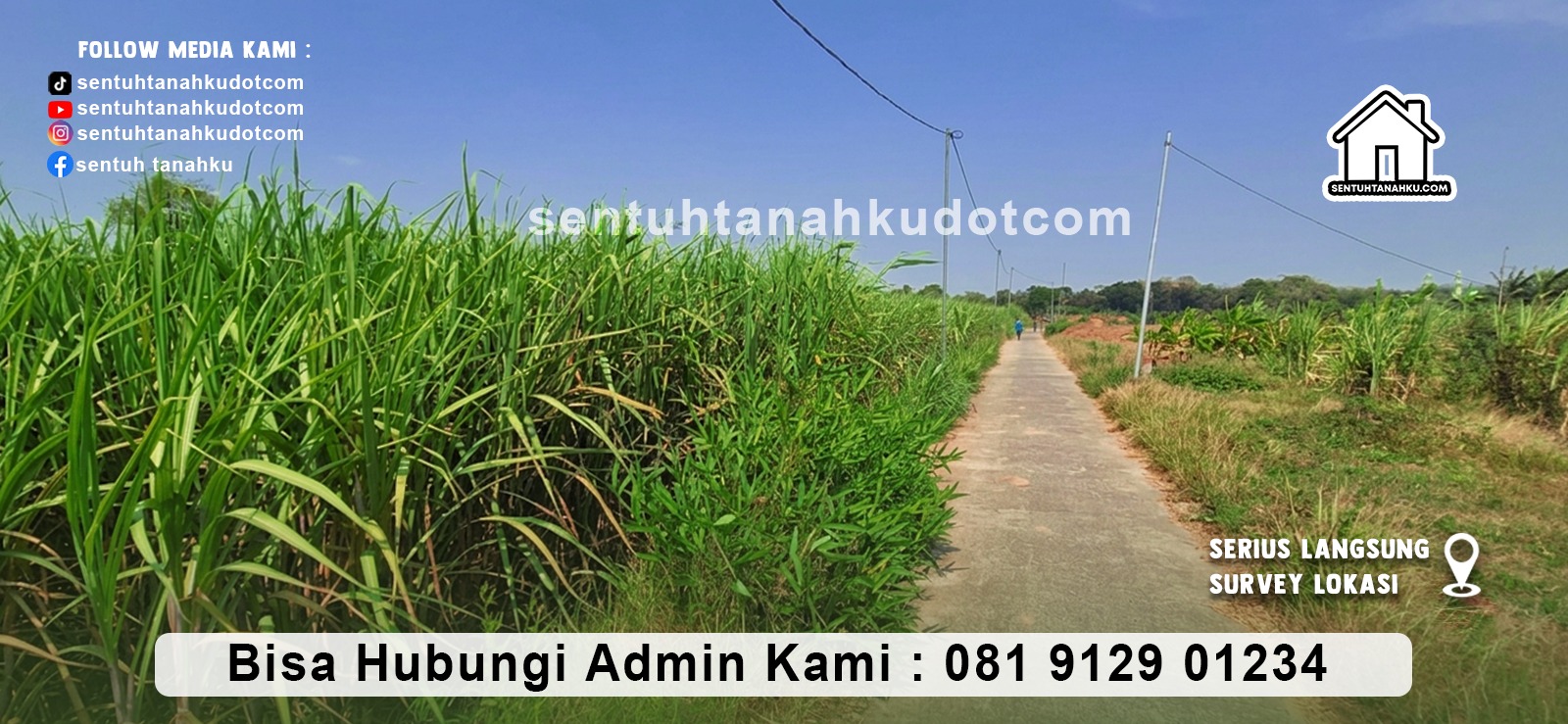 TANAH