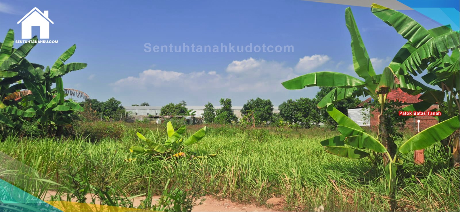 TANAH