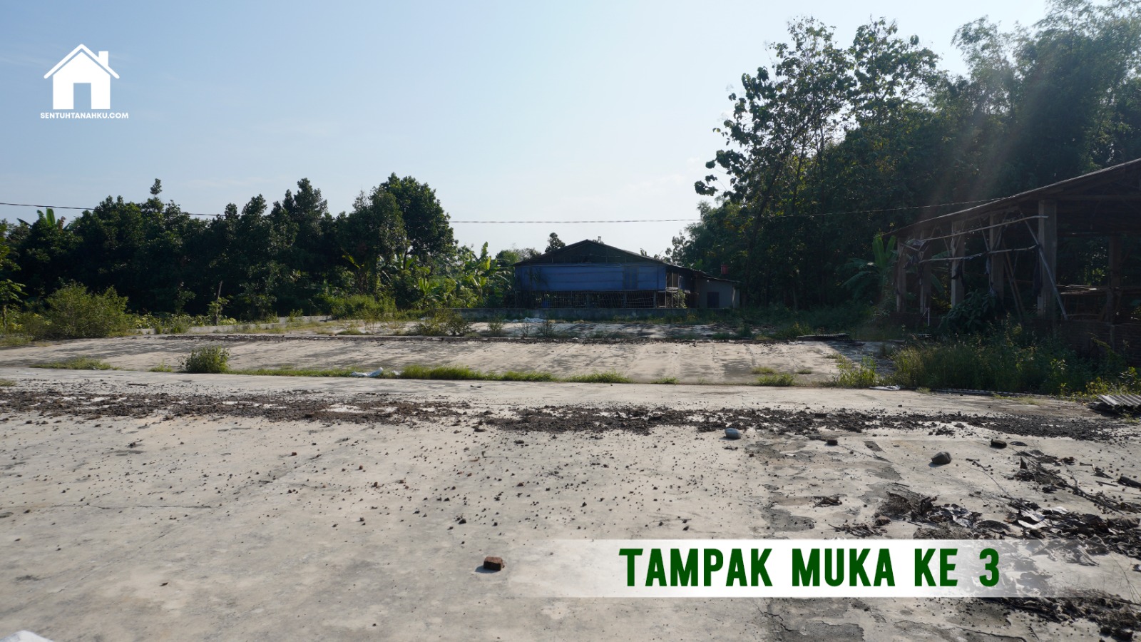 TANAH