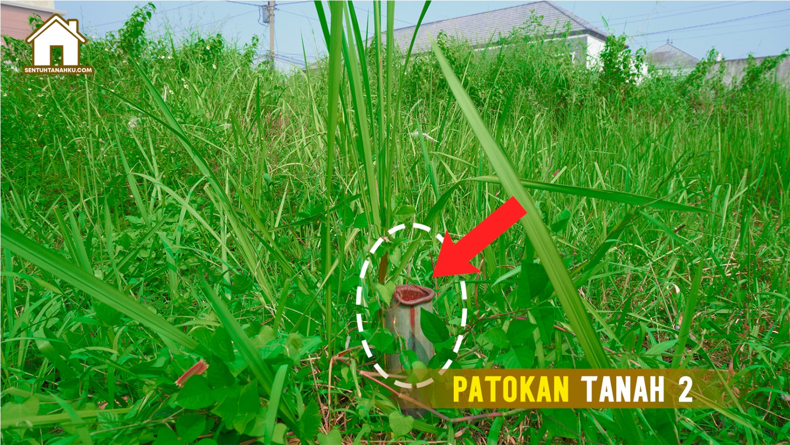 TANAH