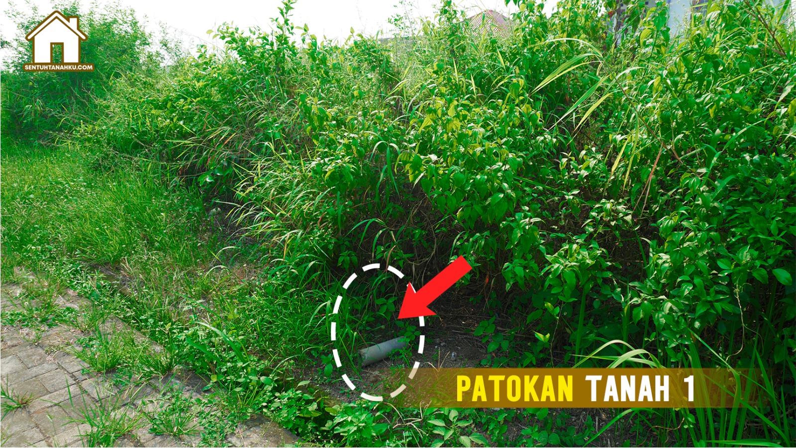 TANAH