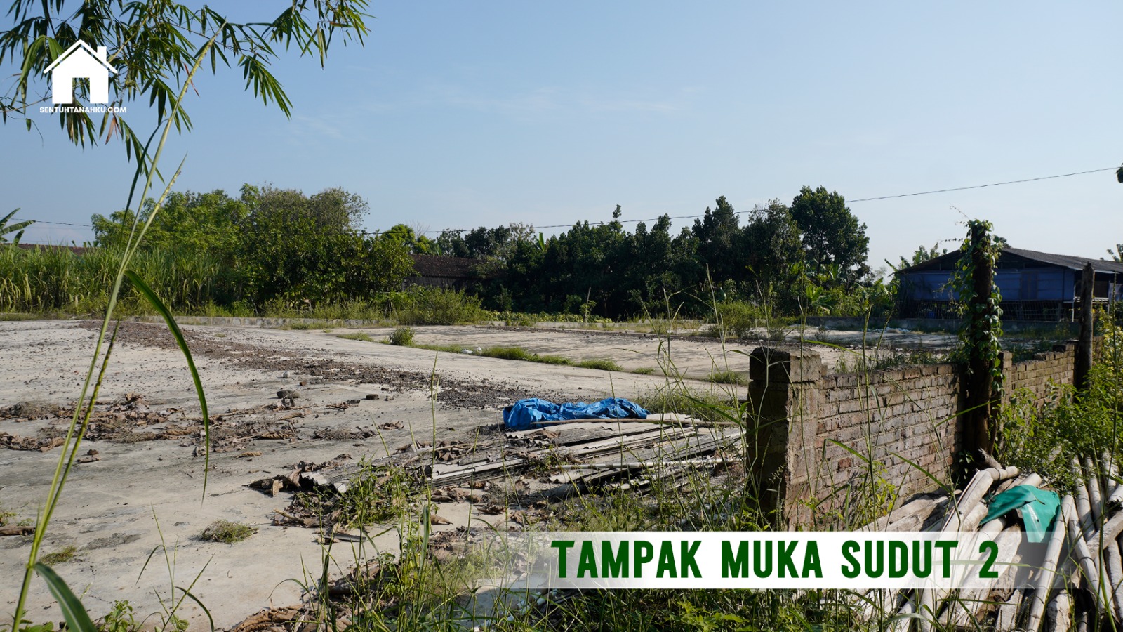 TANAH