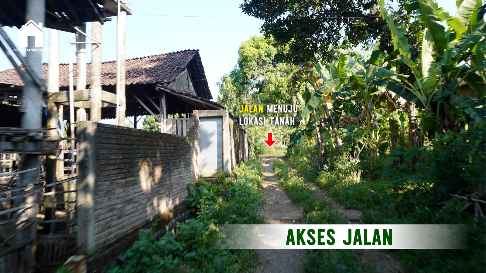 TANAH